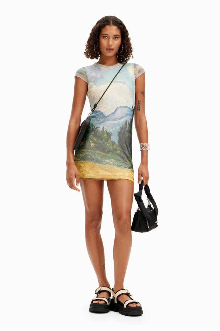 Desigual Van Gogh Haljina Assorted | DLIuFtNn